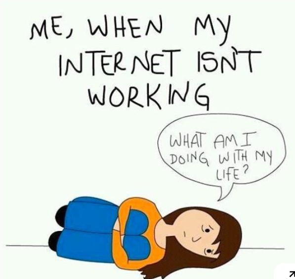 Feed Image